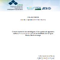 Caracterización in situ morfológica y fisico-química de aguacates nativos (Persea americana Mill) en dos localidades de la región Huista, Huehuetenango