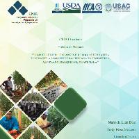 Tomate: hibrido tabaré injertado, alternativa tolerante a marchitez bacteriana y geminivirus, altiplano marquense, Guatemala