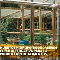 Huertos hidropónicos caseros como alternativa para la producción de alimentos-
