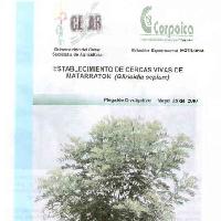 Establecimiento de cercas vivas de matarraton (Gliricidia sepium)-