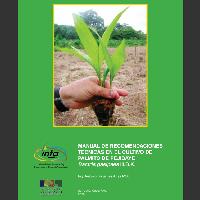 Manual de recomendaciones técnicas en el cultivo de palmito de pejibaye Bactris gasipaes H.B.K. 