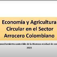 Beneficios climáticos y económicos de la utilización de bioinsumos en la producción de arroz