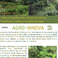 Sistema agroforestal con granos básicos, hortalizas, frutales y cosecha de agua, Comunidad La Boa