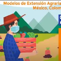 Webinar 04 - Modelos de Extensión Agraria y Rural