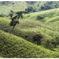 Desarrollo rural territorial en Brasil, una experiencia para compartir