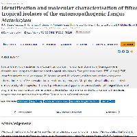  Identification and molecular characterisation of fifteen tropical isolates of the entomopathogenic fungus Metarhizium.
