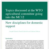 New disciplines for domestic support. 