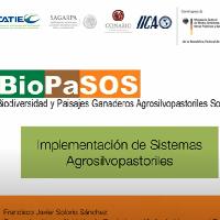 Implementación de sistemas agrosilvopastoriles (Segundo foro)