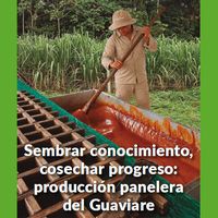 Sembrar conocimiento, cosechar progreso: producción panelera del Guaviare