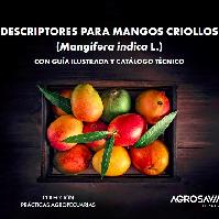 Descriptores para mangos criollos (Mangifera indica L.) con guía ilustrada y catálogo técnico