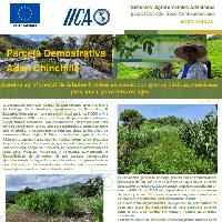 Sistema agroforestal de árboles frutales en asocio con granos básicos, musáceas, piña, yuca, y cosecha de agua, Municipio Santiago de la Frontera