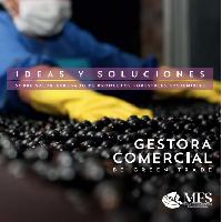 Ideas y soluciones sobre valor agregado de productos forestales sostenibles. Gestora comercial Be Green Trade