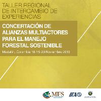 Taller regional de intercambio de experiencias: concertación de alianzas multiactorales para el manejo forestal sostenible