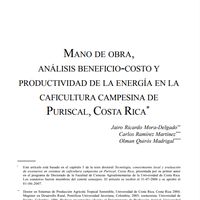 Mano de obra, análisis beneficio-costo y productividad de la energía en la caficultura campesina de Puriscal, Costa Rica