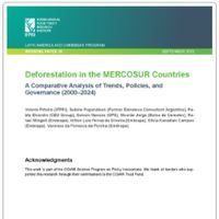 Deforestation in the MERCOSUR Countries: A comparative analysis of trends, policies, and governance (2000–2024)