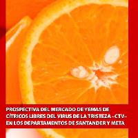 Prospectiva del mercado de yemas de cítricos libres del virus de la tristeza –CTV- en los departamentos de Santander y Meta.-