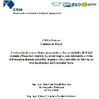 Evaluación de nueve líneas avanzadas y dos variedades de frijol común (Phaseolus vulgaris L.) color negro, con tolerancia a virus de mosaico dorado amarillo, sequia y alto contenido de hierro en tres localidades del Corredor Seco