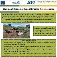 Sistemas Silvopastoriles en Sistemas Agroforestales