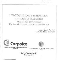 Producción de semilla de pasto llanero (brachiaria dictyoneura) en la altillanura Colombiana