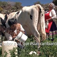 Energía solar térmica para lecherías rurales