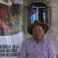 Historia de éxito Don Baltazar