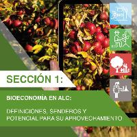 Bioeconomía en ALC: Definiciones, senderos y potencial para su aprovechamiento