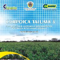 Corpoica taluma 5: variedad de soya de uso forrajero o grano para sistemas de producción de la Orinoquia Colombiana-