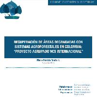 Recuperación de áreas degradadas con sistemas agroforestales en Colombia: Proyecto Agrupado VCS Internacional