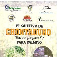 El cultivo de chontaduro (Bactris gasipaes K.) para palmito-
