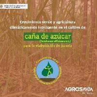 Crecimiento verde y agricultura climáticamente inteligente en el cultivo de caña de azúcar (Saccharum officinarum L.) para la elaboración de panela