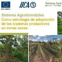 Sistema agroforestales como estrategia de adaptación de los sistemas productivos en zonas secas