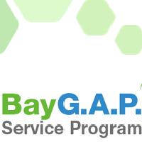 Curso virtual Programa de capacitación Bayer para la facilitación del localg.a.p.
