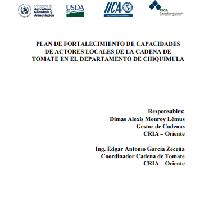Plan de fortalecimiento de capacidades de actores locales de la cadena de tomate en el departamento de Chiquimula