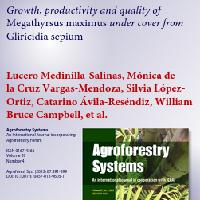 Growth, productivity and quality of Megathyrsus maximus under cover from Gliricidia sepium