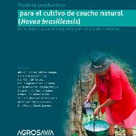 Modelo productivo para el cultivo de caucho natural (Hevea brasiliensis) en el bajo Cauca antioqueño y en el sur de Córdoba