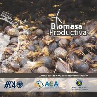 Biomasa productiva: líneas de acción para su aprovechamiento energético