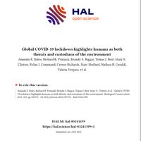 Global COVID-19 lockdown highlights humans as both threats and custodians of the environment