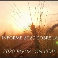 Informe 2020 sobre las alianzas estratégicas del IICA