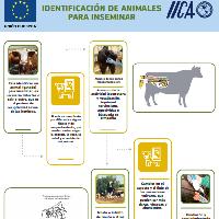 Identificación de animales para inseminar