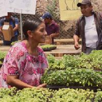 Unir para avanzar, el Programa CRIA