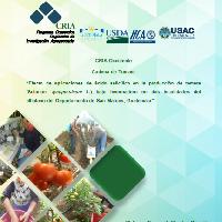 Efecto de las aplicaciones de ácido salicílico en la producción de tomate (Solanum lycopersicum L.) bajo invernadero en dos localidades del altiplano del Departamento de San Marcos, Guatemala