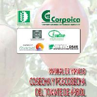 Manual de manejo cosecha y poscosecha del tomate de árbol-