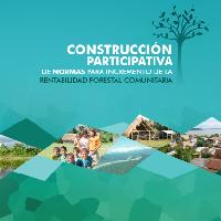 Contrucción participativa de normas para incremento de la rentabilidad forestal comunitaria