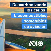 Descarbonizando los cielos: biocombustibles sostenibles de aviación