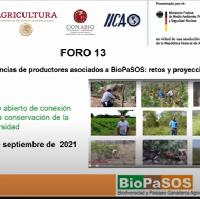 Foro 13: Intercambio de experiencias de productores asociados a BioPaSOS: retos y proyecciones futuras