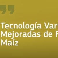 Tecnología variedades mejoradas de frijol y maíz