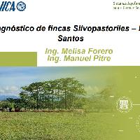 Diagnóstico de fincas Silvopastoriles