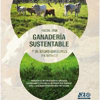 Hacia una Ganadería Sustentable y de Bajas Emisiones en México: una propuesta de implementación de una acción nacionalmente apropiada de mitigación para transitar hacia la ganadería bovina extensiva sustentable