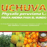 Desarrollo tecnológico para el fortalecimiento del manejo poscosecha de la Uchuva (Physalis peruviana L.)-