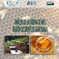 Análisis de la cadena de miel. Región Occidente de Guatemala